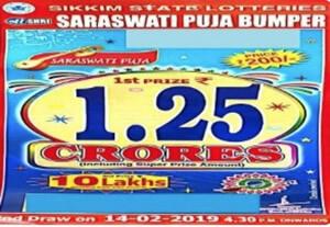 saraswati bumper lottery ticket 2019 image